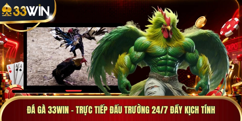 Đá Gà 33WIN - Trực Tiếp Đấu Trường 24/7 Đầy Kịch Tính