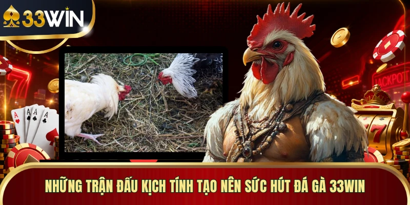 Những trận đấu kịch tính tạo nên sức hút đá gà 33WIN